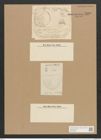 Campylodiscus hodgsonii W. Sm. (de-Toni-Nr.: Genus 57, Species 2432) Zeichnungen Sammlung Grunow Nr. 4898 (NHMW-BOT-W0373095)